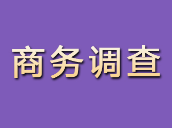 虞城商务调查